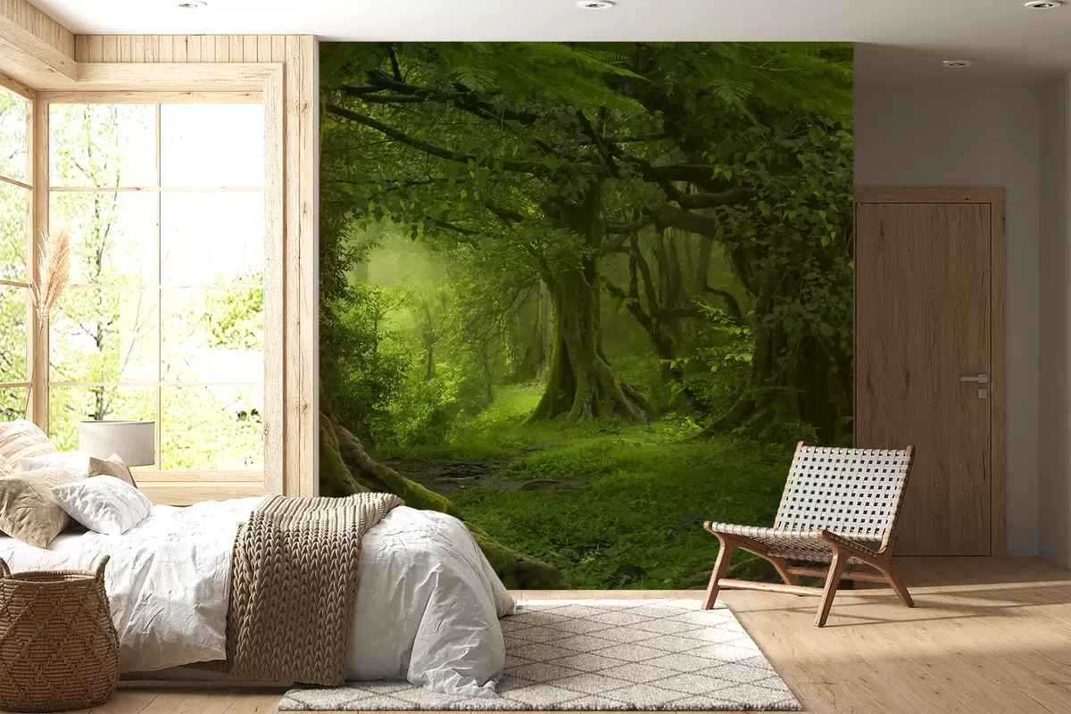 wall murals Древна шума u56167