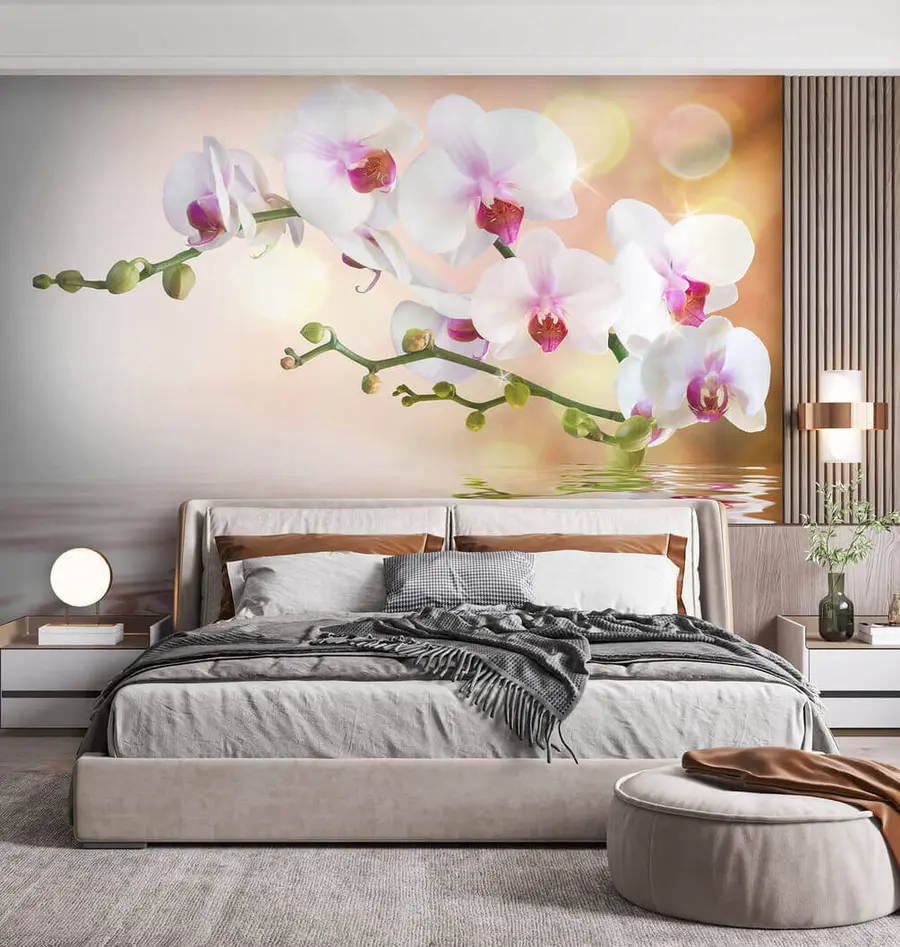 wall murals Орхидеје преко воде u56940