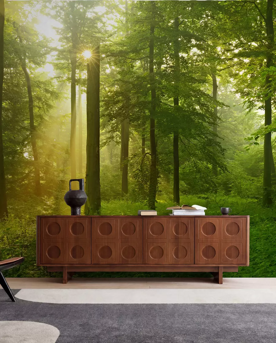 wall murals Тишина у сунчаној шуми u57295