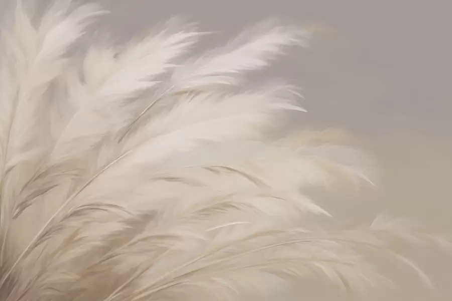 wall murals Меке, пахуљасте траве у беж и сивој боји w03992