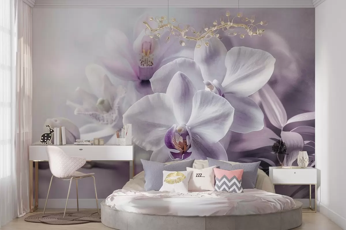 wall murals Бели и јорговани нежни цветови орхидеје, меко осветљење и замућена текстурирана позадина  w09155