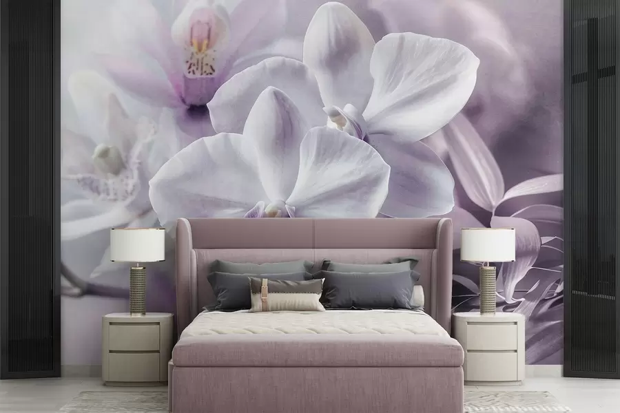 wall murals Бели и јорговани нежни цветови орхидеје, меко осветљење и замућена текстурирана позадина  w09155