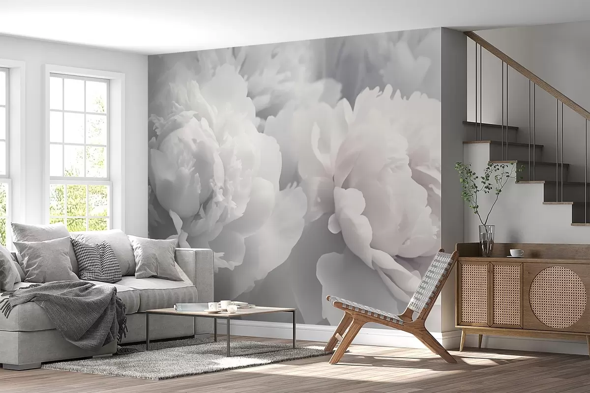 wall murals Пеониес w04336