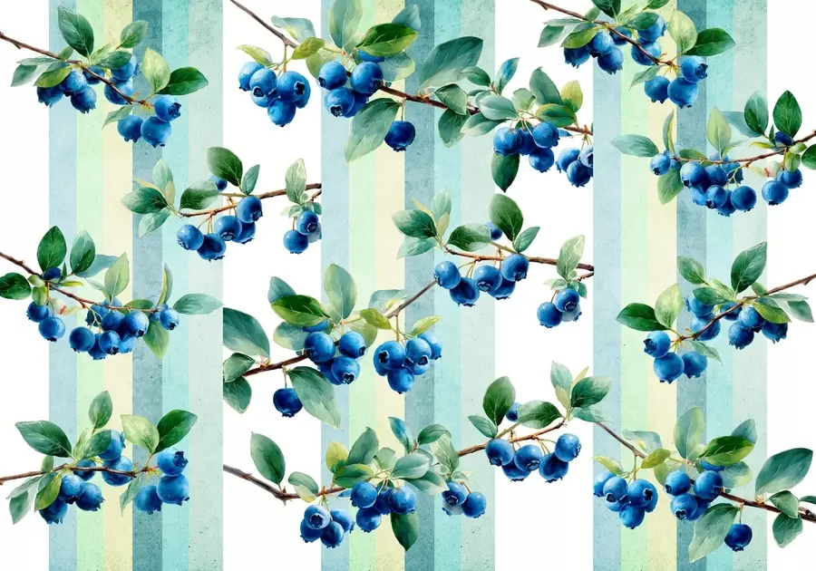 wall murals гроздови боровница на пругастој позадини w04307