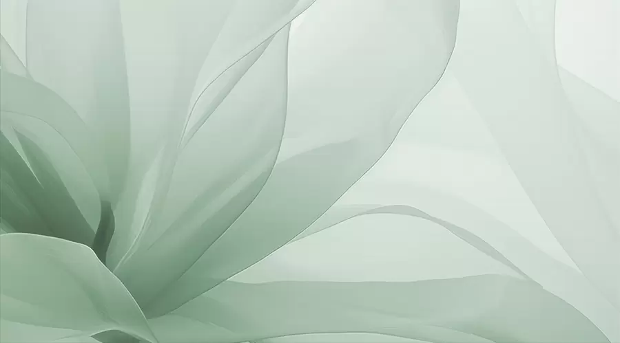 wall murals Апстрактни цвет w04435v1
