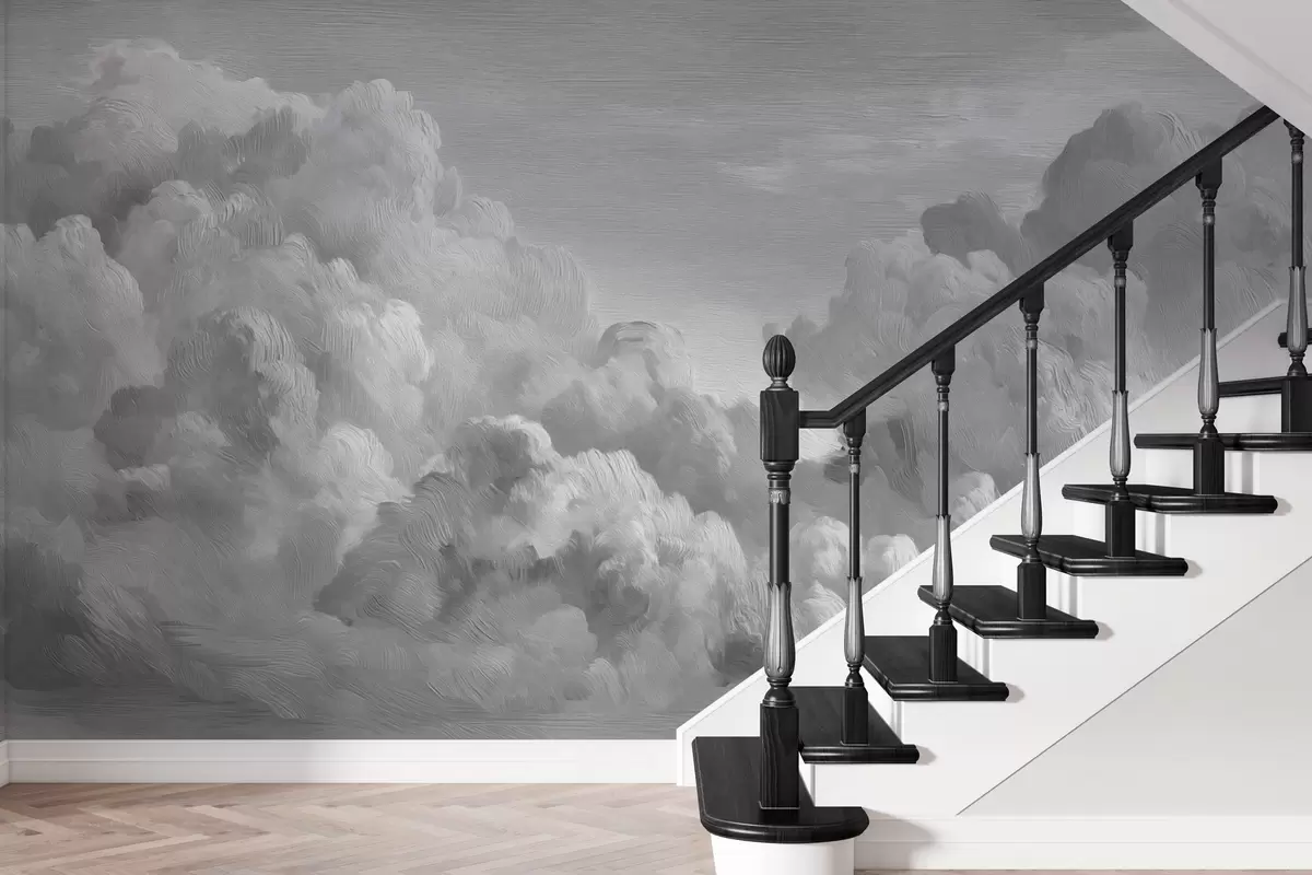 wall murals Монохромна текстурирана формација облака w04550v3