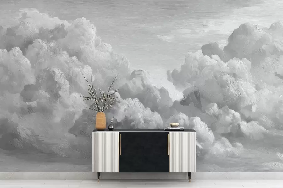 wall murals Монохромна текстурирана формација облака w04550v3