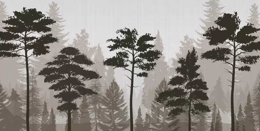 wall murals Магловита шума w04678