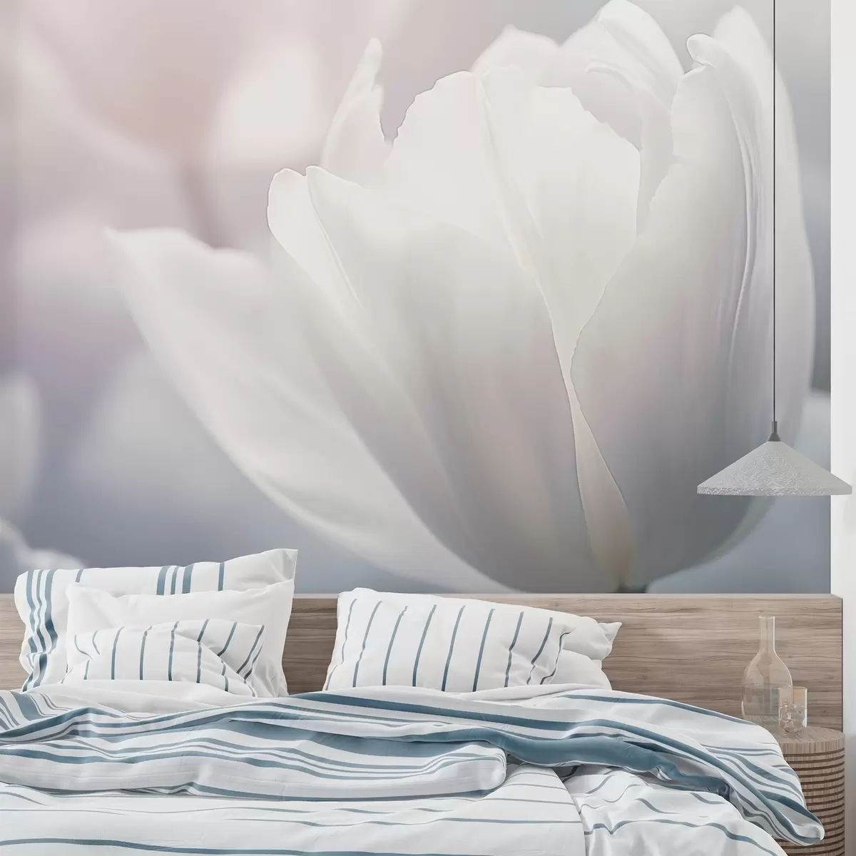 wall murals Тулип w04659