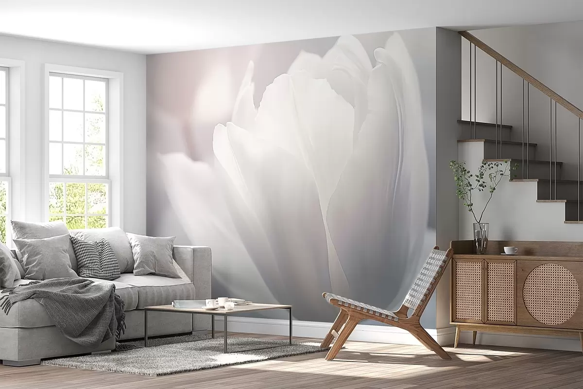 wall murals Тулип w04659