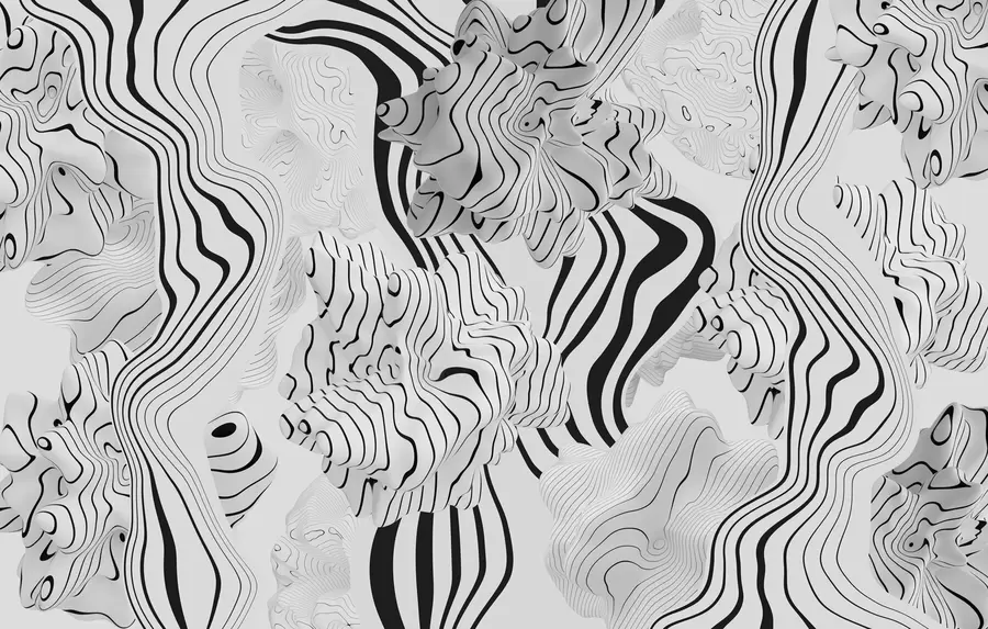 wall murals апстрактни органски облици у 3Д стилу у белим и сивим тоновима са црним пругама w04627