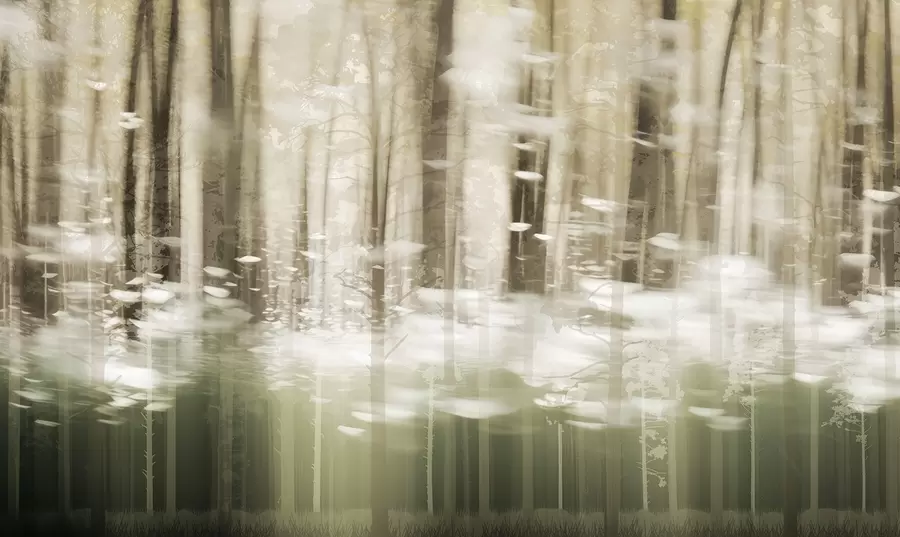 wall murals Стилизована стабла дрвећа у пастелним бојама w04844