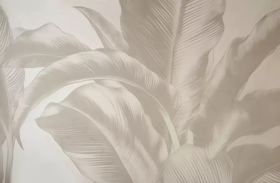 wall murals Дуги листови, листови банане са излизаним ефектом w04827