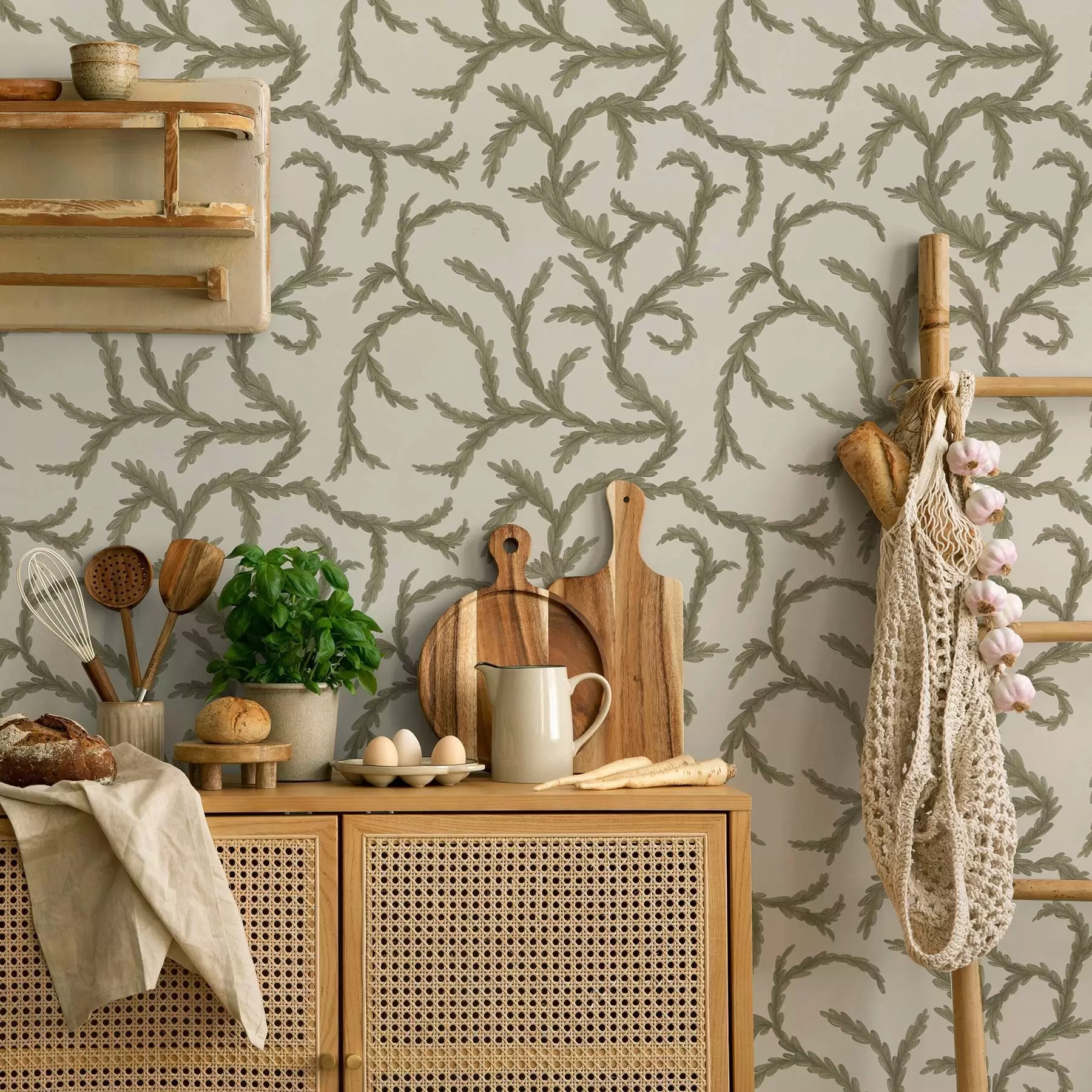 wall murals Меке зелене коврџе четинара на светлој позадини a00938