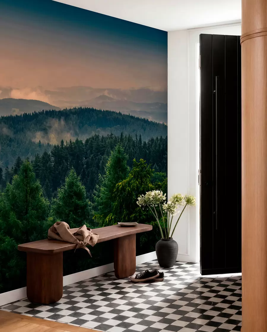 wall murals Дрвеће дрвећа у магли u72174