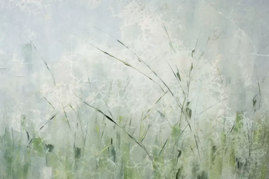 wall murals Светлост траве w05176