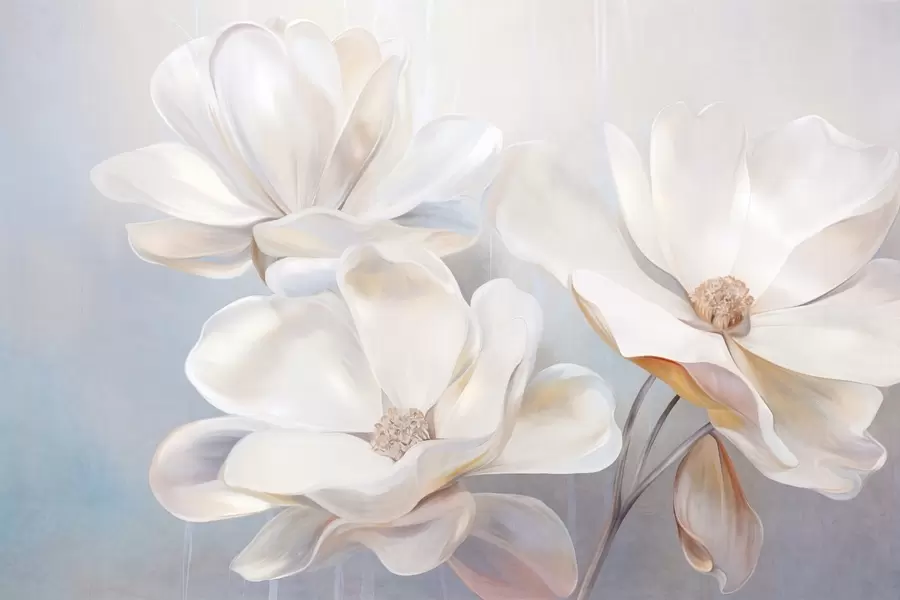 wall murals Бели фантастични цветови магнолије са нежним текстурираним латицама, мека, апстрактна позадина w09373
