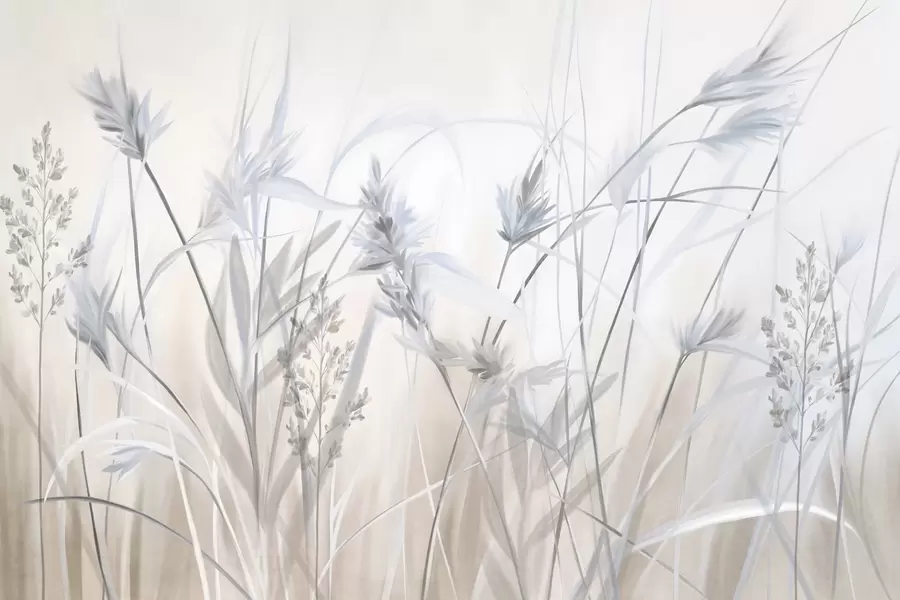wall murals Високе, суве стабљике траве са пернатим врховима у пригушеним тоновима, мека, магловита бела и беж позадина w09652v1