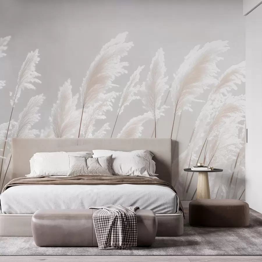 wall murals Мекана бела пампас трава у нежном јутарњем светлу w09717