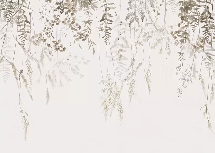 wall murals Висеће дивље биљке на светлој позадини w05320