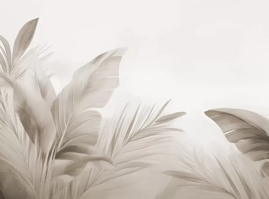 wall murals Листови банане, дуги листови w05377