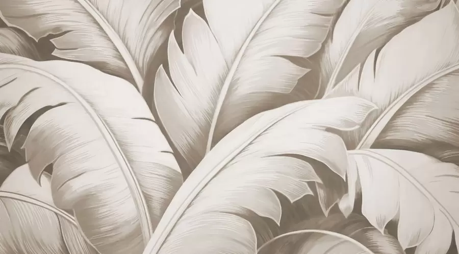 wall murals Велики листови банане w04991