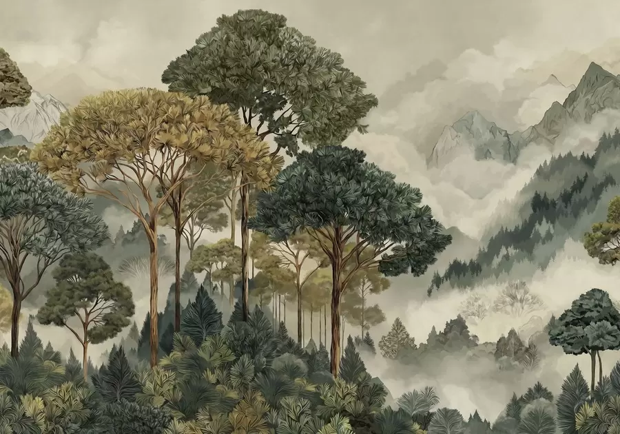 wall murals Шума са високим дрвећем у магловитим планинама w05410