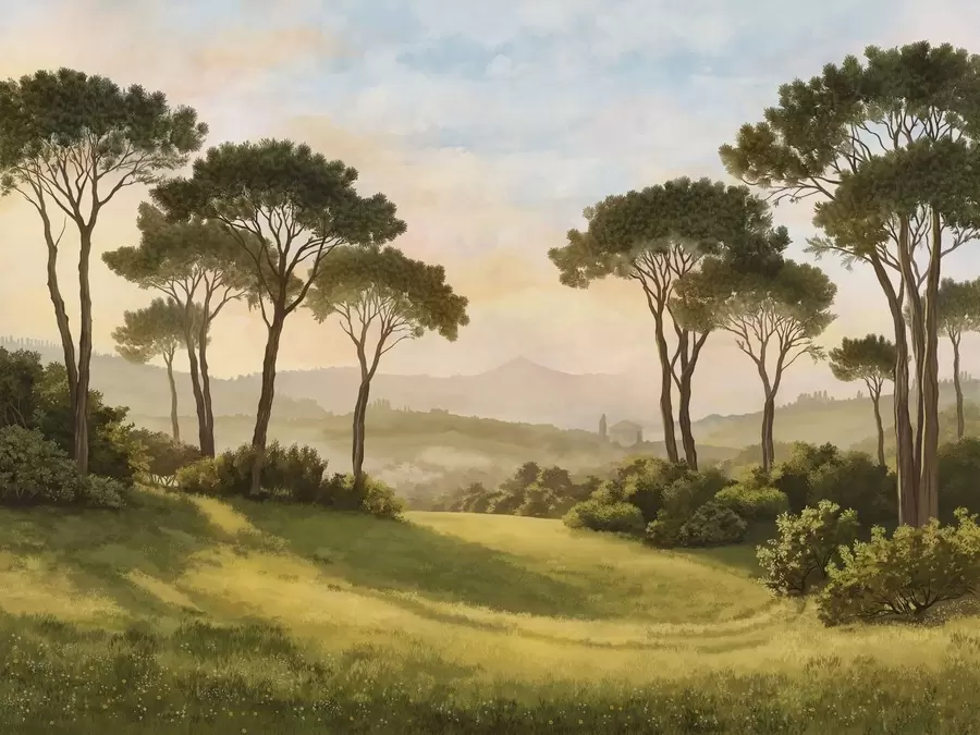 wall murals Пејзаж са дрвећем у топлој светлости заласка сунца w05122