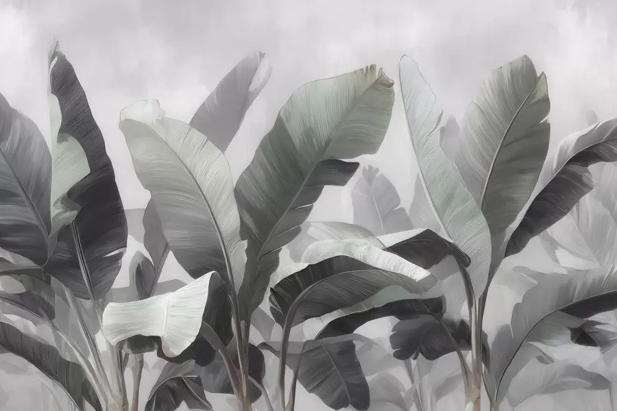wall murals Апстрактни тропски велики листови банане у неутралној палети са меким сиво-зеленим тоновима w09805