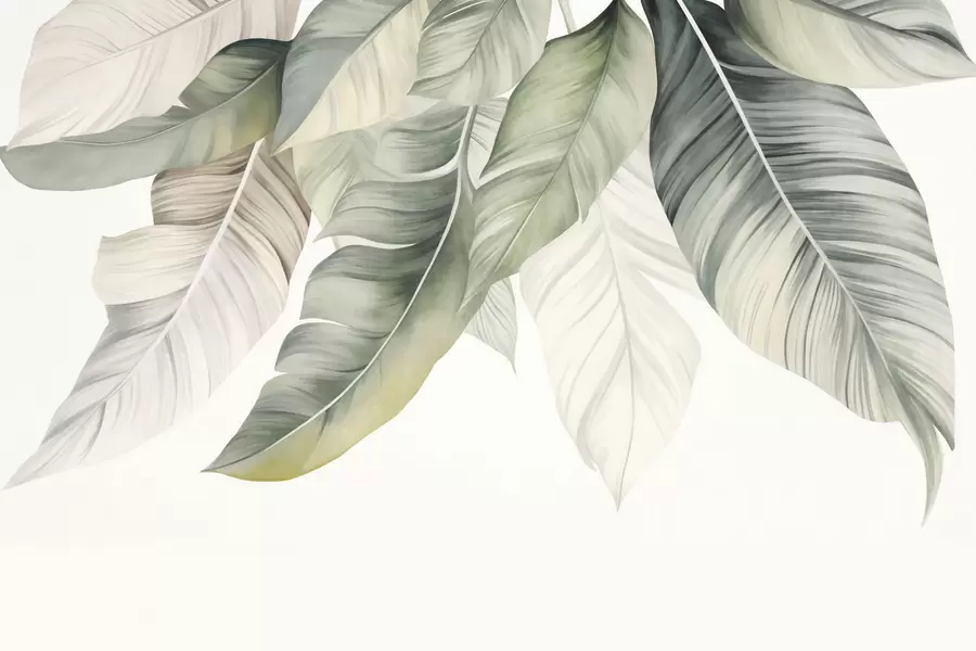 wall murals Велики, бледозелени листови банане са детаљним венама, текстурирана уметност, светла позадина w09941