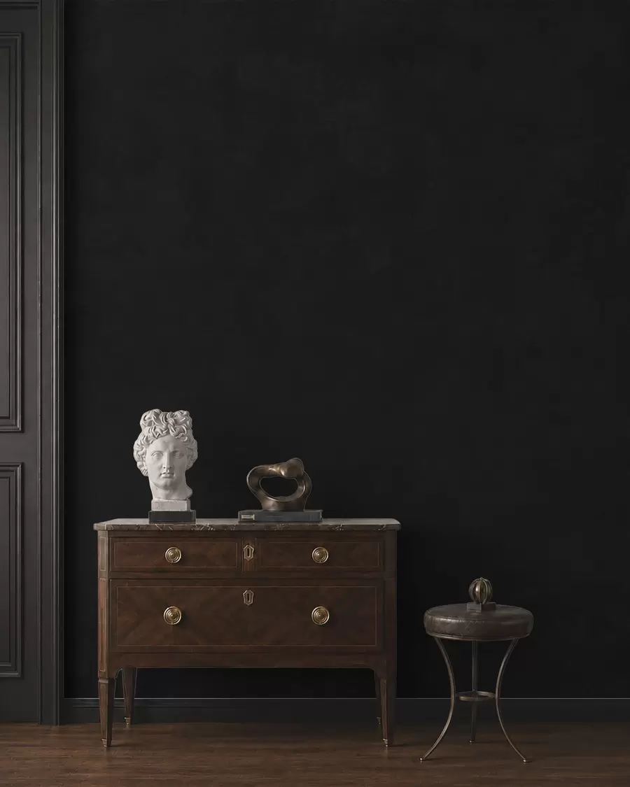 wall murals Дубоки тон угља са меком текстуром и суптилним димљеним прелазима w05814v4