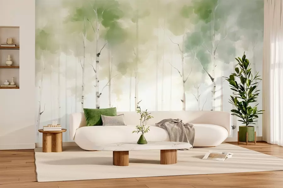 wall murals Дрвеће брезе w05676