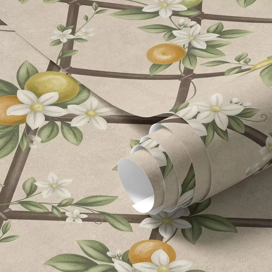 wall murals Бело цвеће и цитрусно воће на смеђој решетки a01261