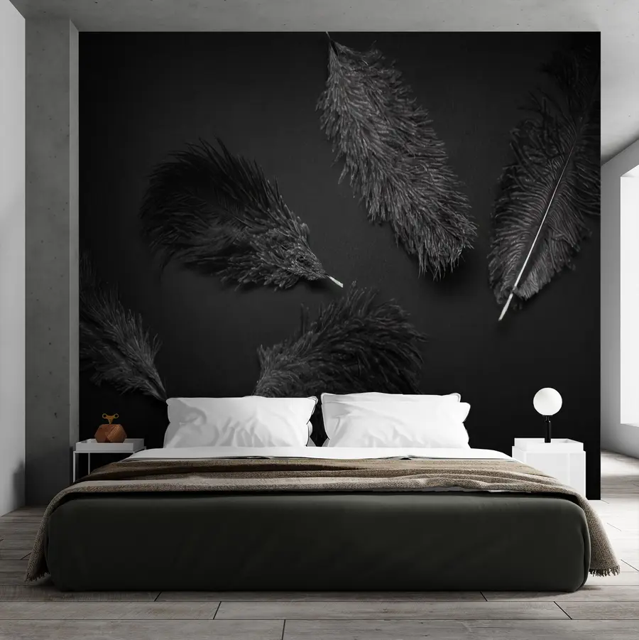 wall murals Црно перје u72331