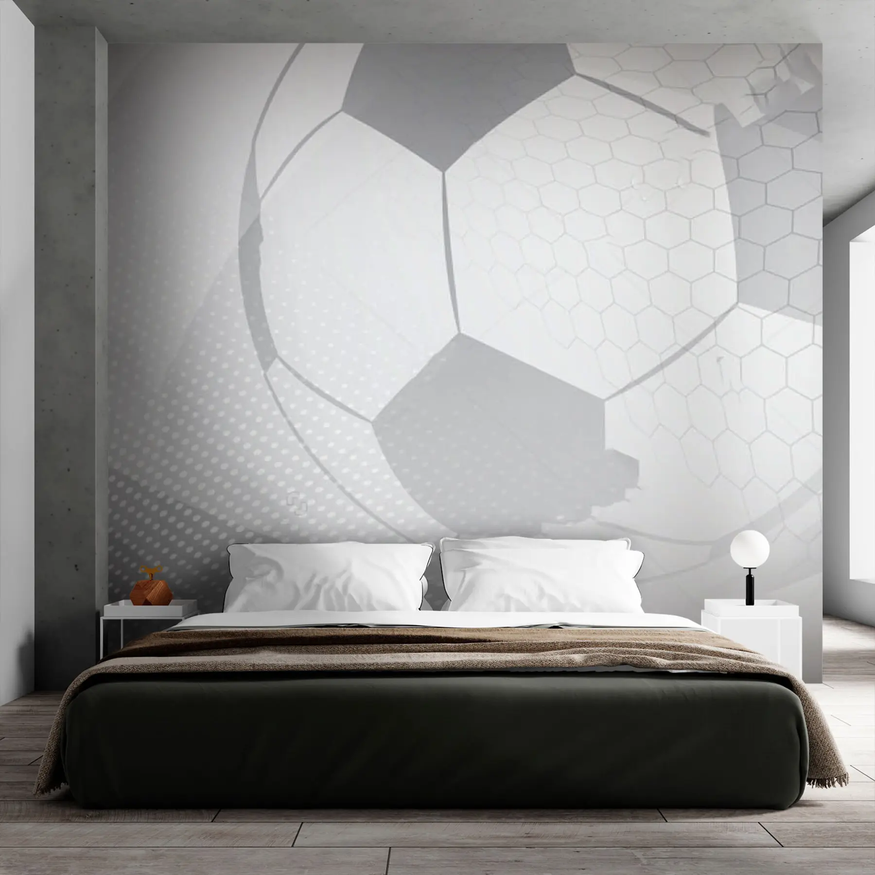 wall murals Лагани фудбал u72781