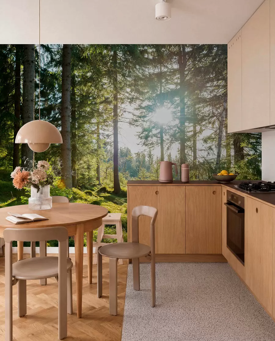 wall murals Царконосхе планине у Пољској u80015
