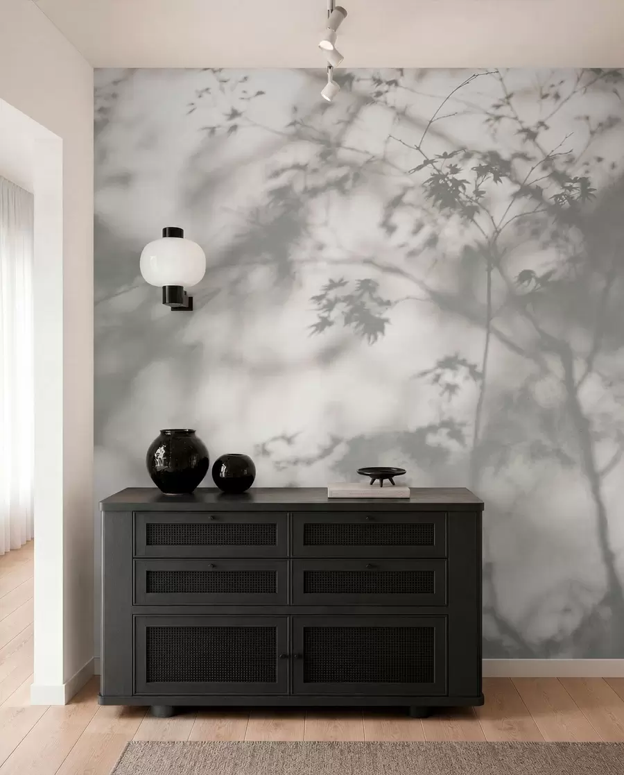 wall murals Сенка на зиду u79829