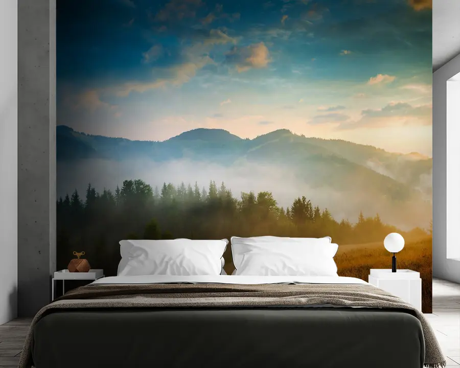 wall murals Небо, облак и биљка u54619