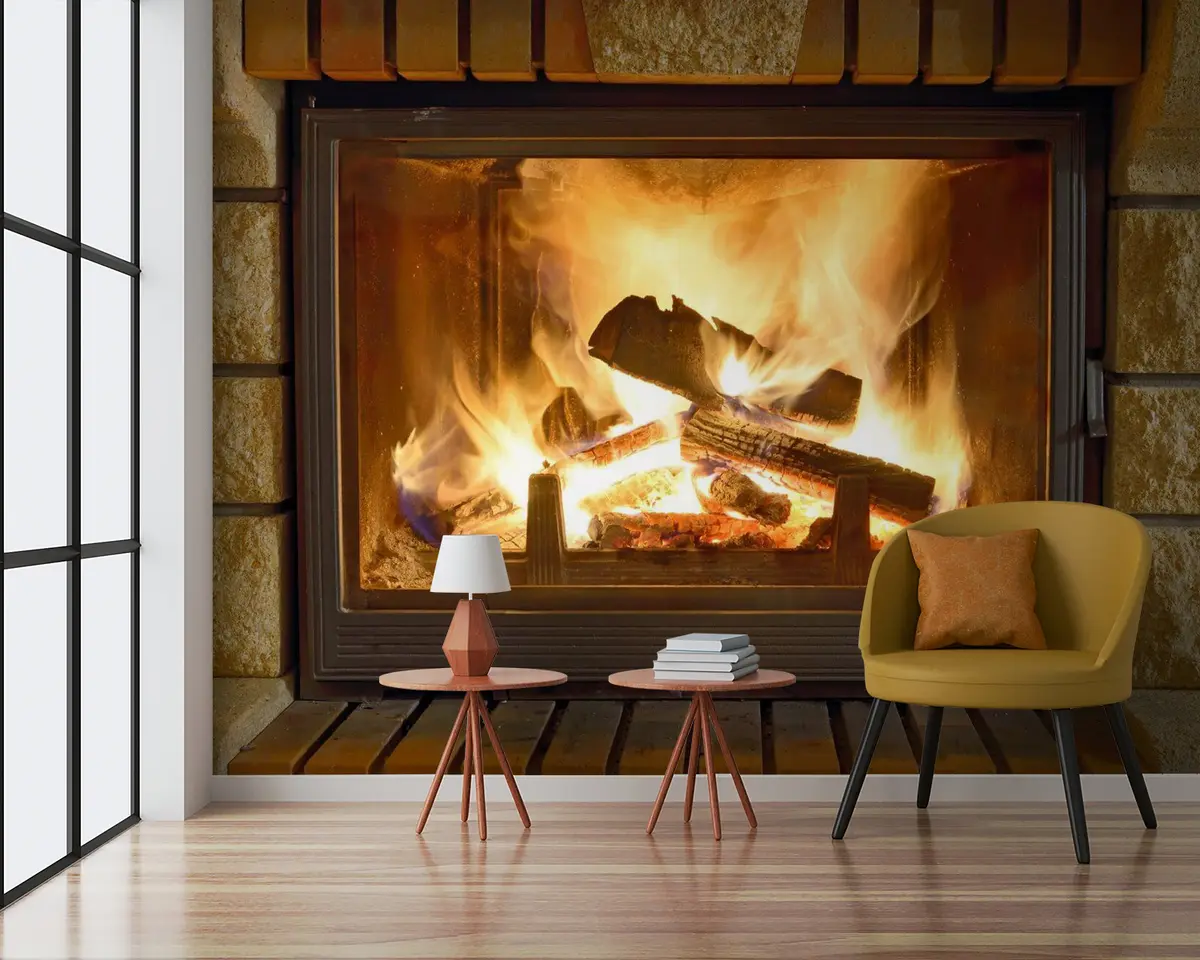 wall murals Некретнина, дрвета Е огртач u57351