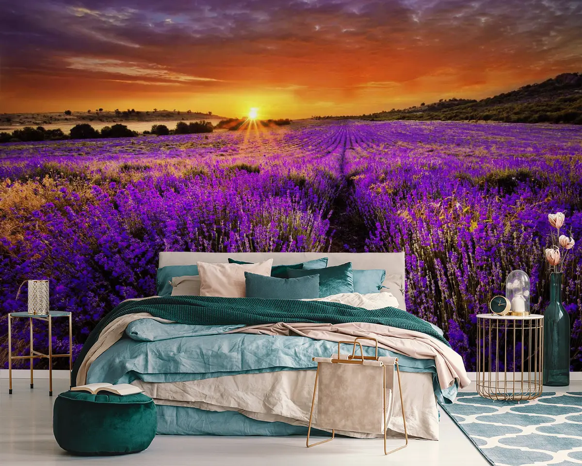 wall murals Цвет, облак и небо u57609