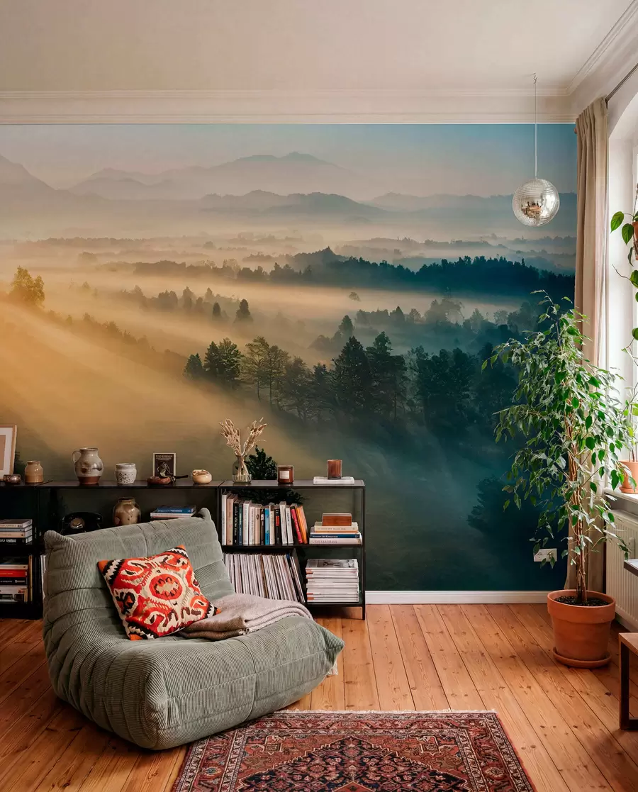 wall murals Sunčevi zraci nad borovima u73864