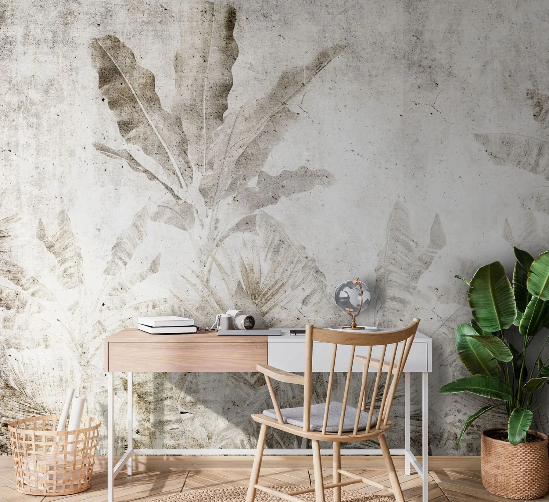 wall murals Банана лишће на бетонском зиду u73886