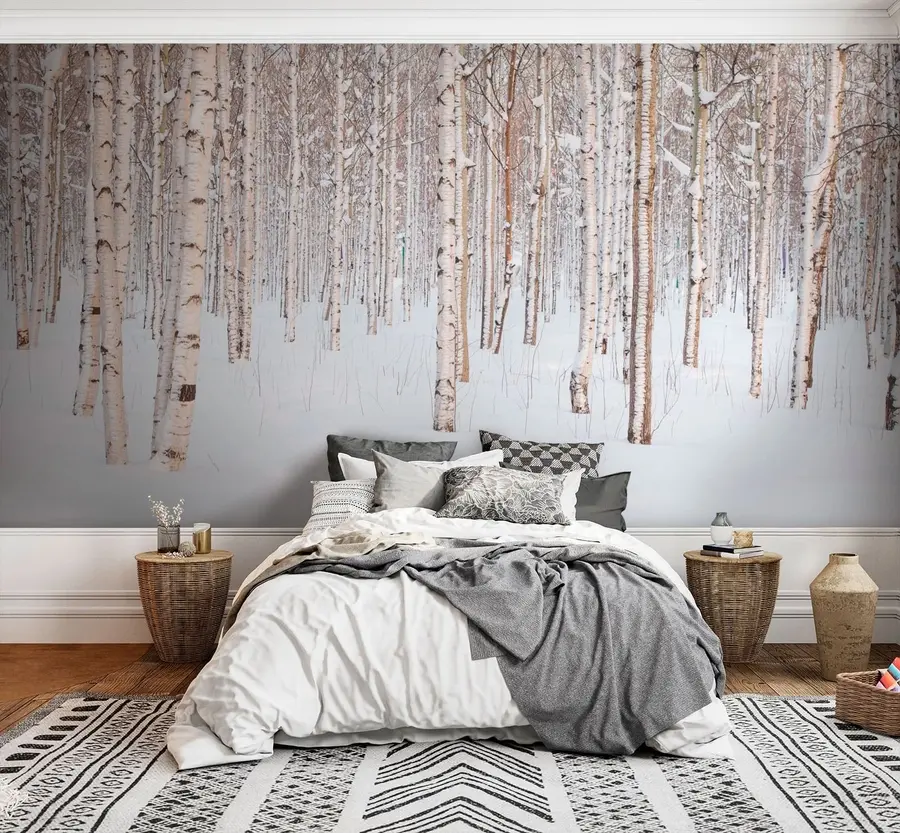 wall murals Бирцх Форест у снегу u74232