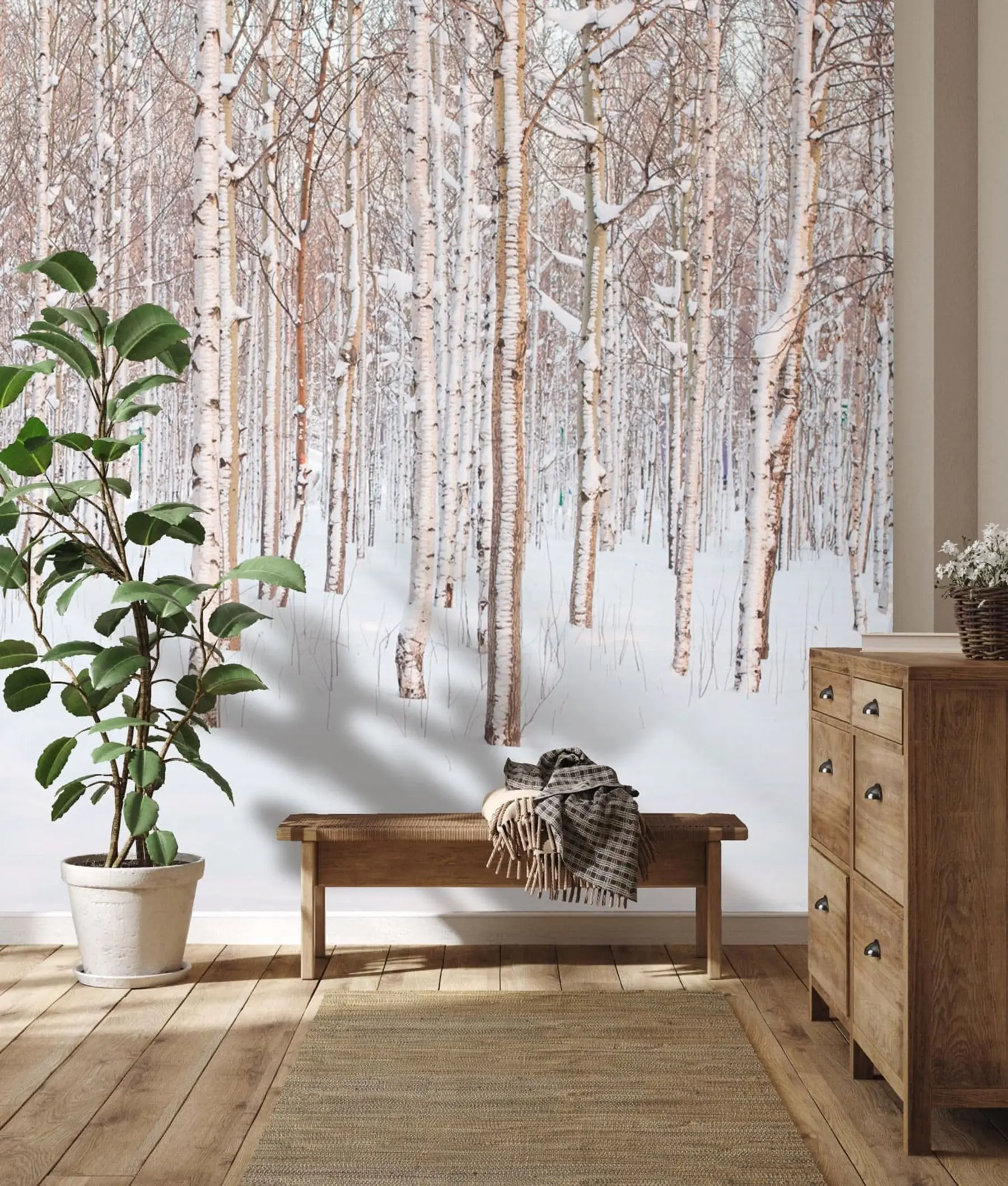 wall murals Бирцх Форест у снегу u74232