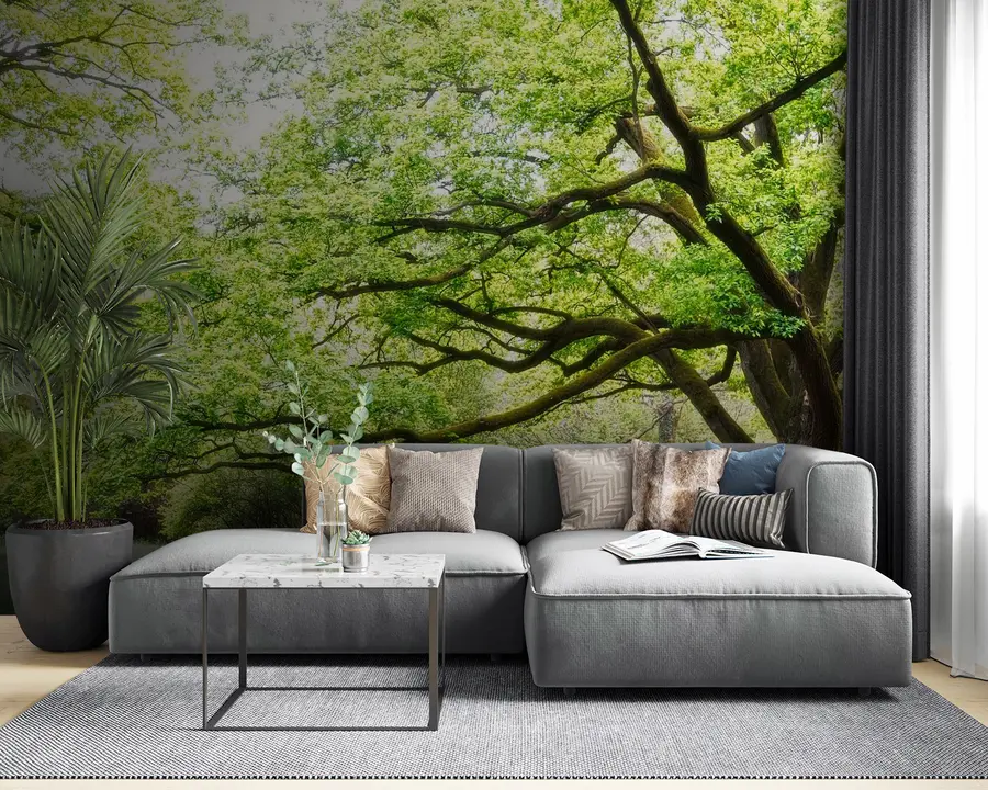 wall murals Биљни, зелени и природни пејзаж u55659