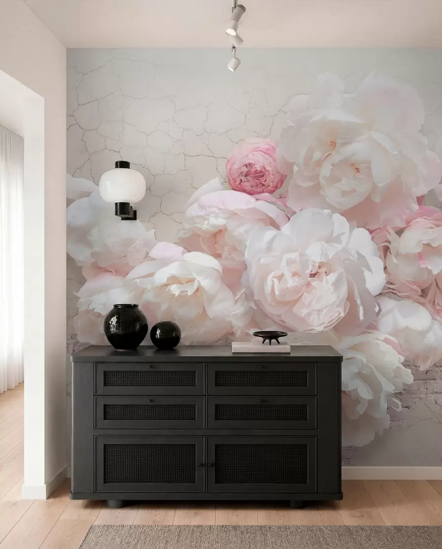 wall murals Бела пеониес на пролађеном зиду u79549