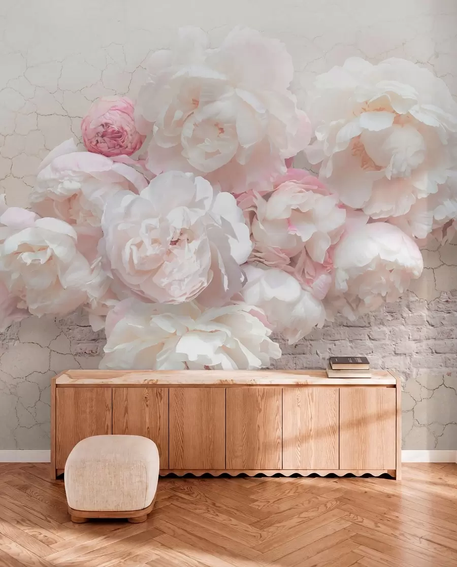 wall murals Бела пеониес на пролађеном зиду u79549