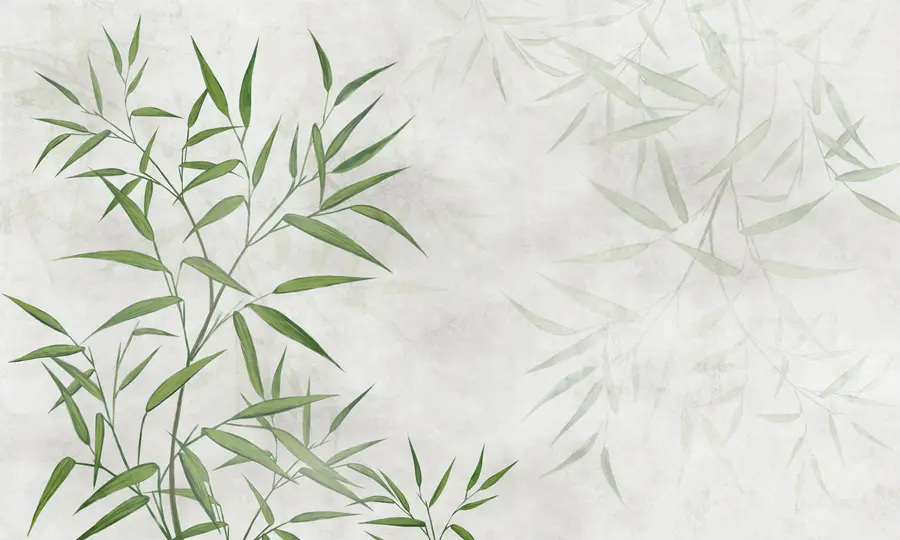 wall murals Одлази са бамбусом реед u95921