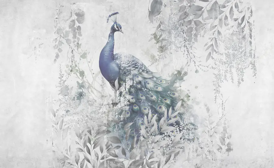 wall murals Фрагиле пауна на бетонској позадини бетона Грунге u96727