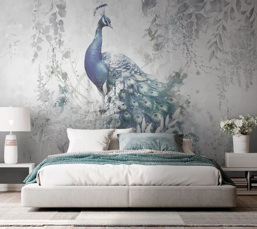 wall murals Фрагиле пауна на бетонској позадини бетона Грунге u96727